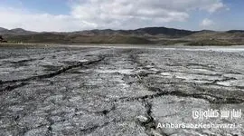 مهاجرت، سرطان و خشونت؛ فاجعه‌ای که در سکوت رخ می‌دهد