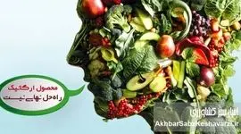 محصول  ارگانیک راه‌حل نهایی نیست