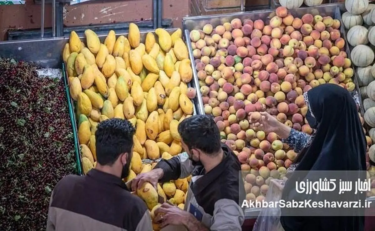 وقتی سفره مردم کوچک می‌شود؛ مقایسه قیمت میوه‌ها بین ۱۴۰۳ تا ۱۴۰۴+ ویدئو
