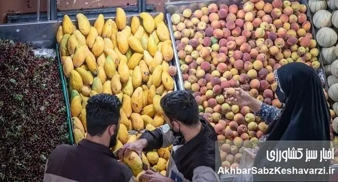 وقتی سفره مردم کوچک می‌شود؛ مقایسه قیمت میوه‌ها بین ۱۴۰۳ تا ۱۴۰۴+ ویدئو