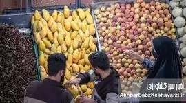 وقتی سفره مردم کوچک می‌شود؛ مقایسه قیمت میوه‌ها بین ۱۴۰۳ تا ۱۴۰۴+ ویدئو