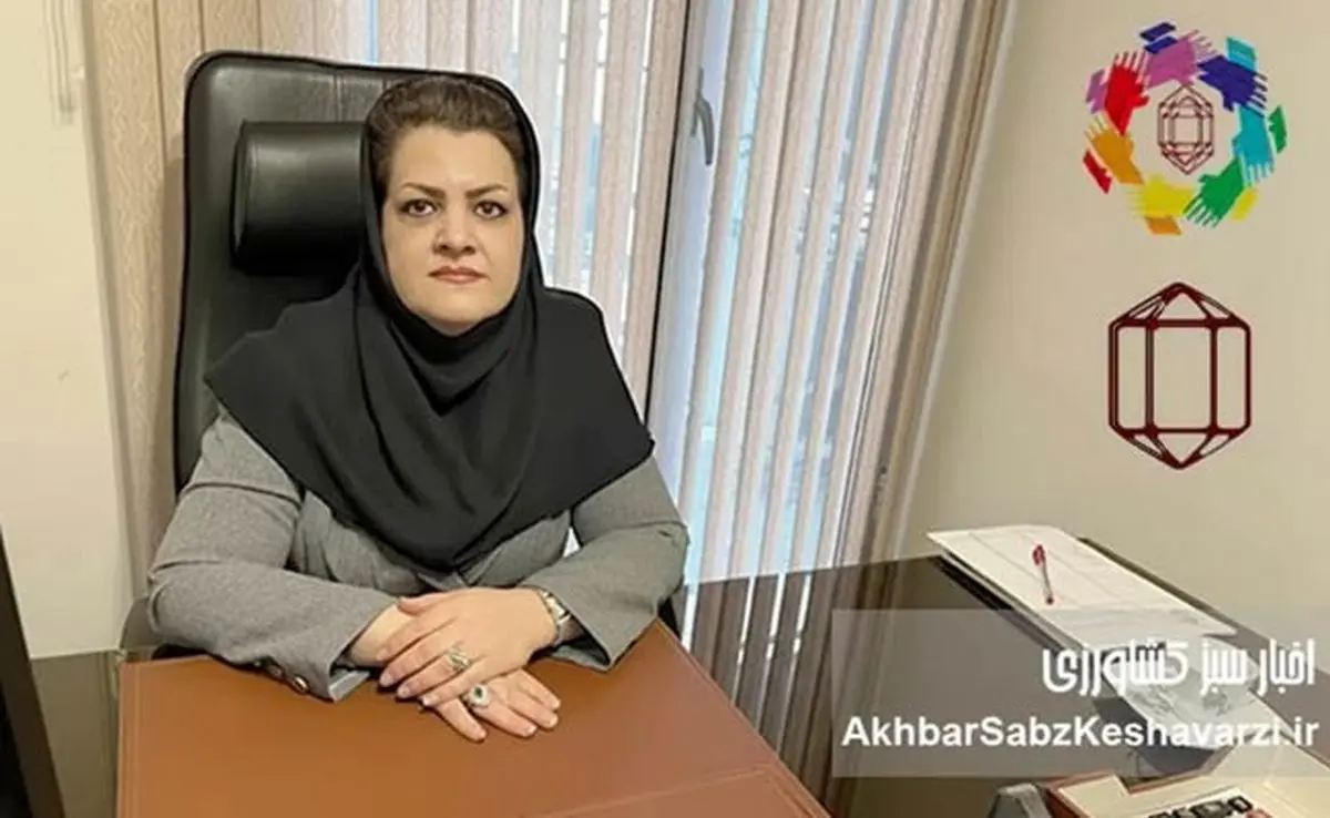 سقوط واردات شکر؛ زنگ خطری که از کارخانه‌ها به دولت رسید، اما شنیده نشد+نامه