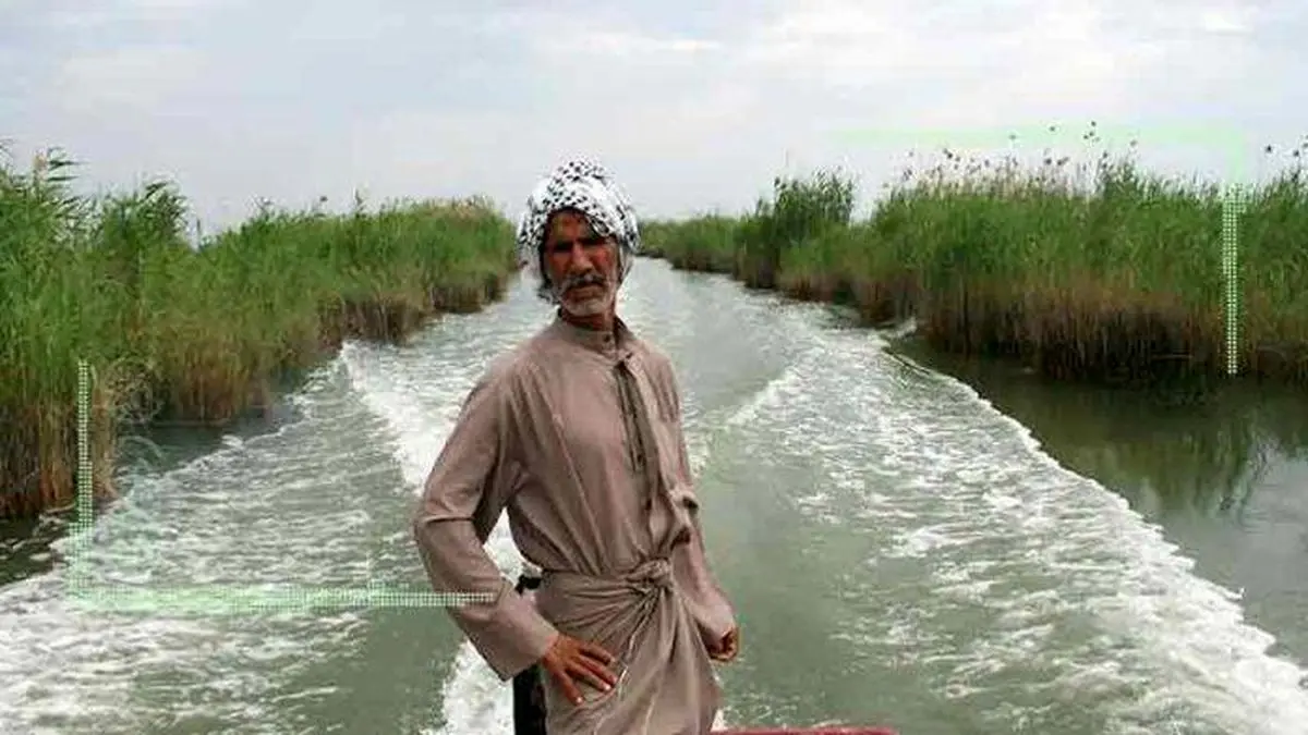 نجات موقت تالاب شادگان