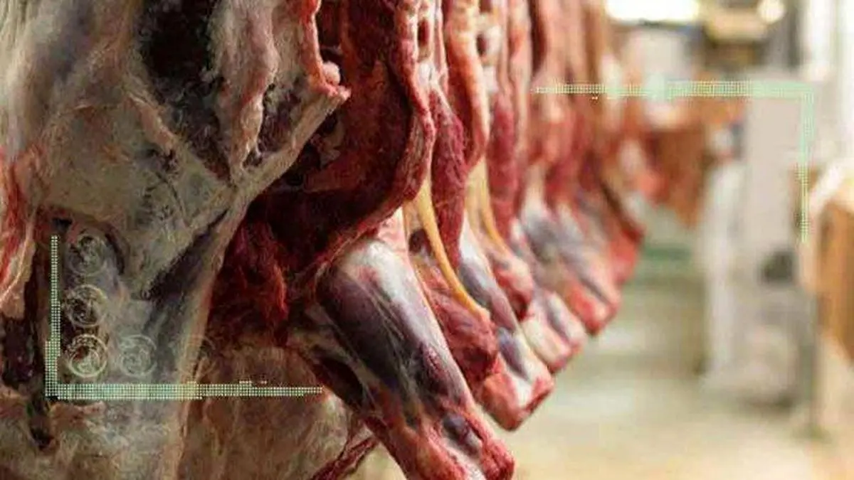 قیمت روز گوشت قرمز در ۱۱ آذر ۱۴۰۲