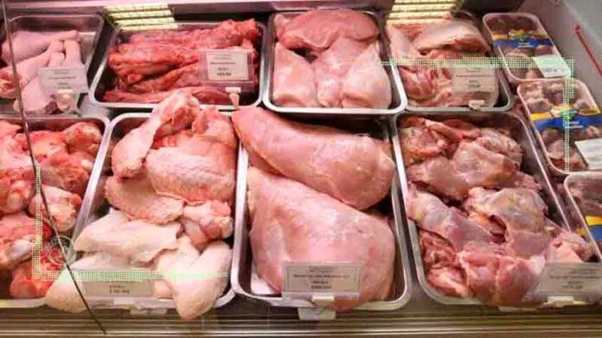 افزایش قیمت گوشت مرغ منطقی نیست