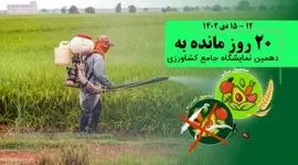 ریل‌گذاری واردات؛ مانع رشد تولید داخلی