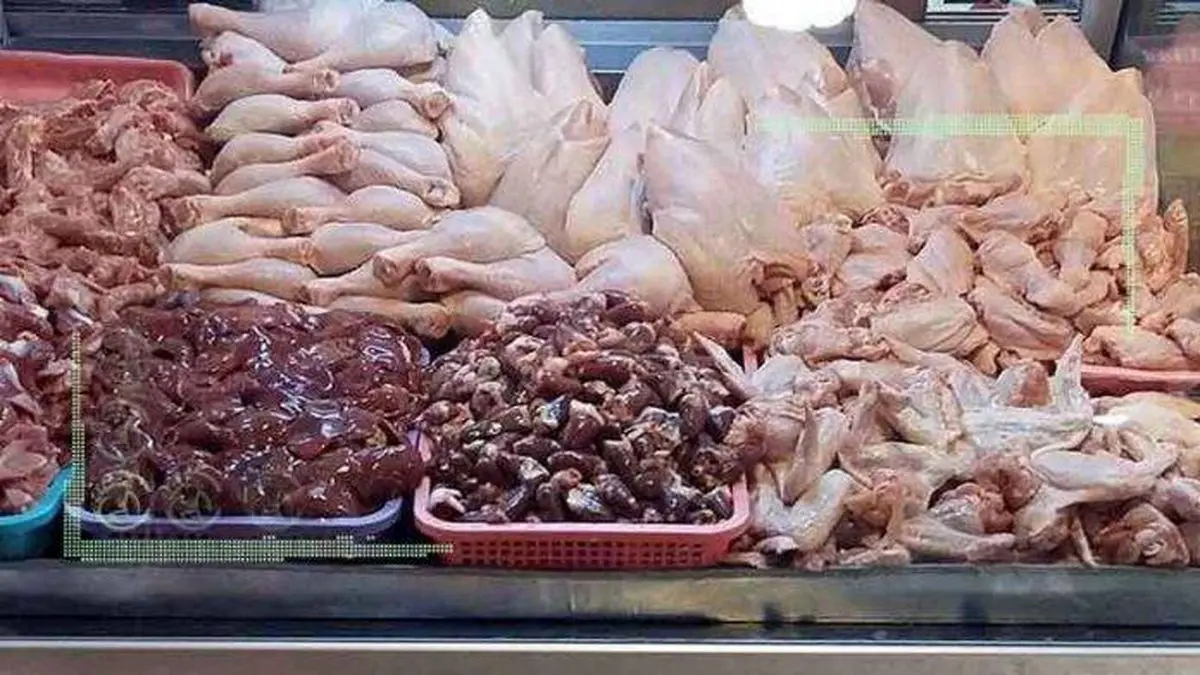 عرضه گوشت مرغ ۲۷ درصد بیشتر شد