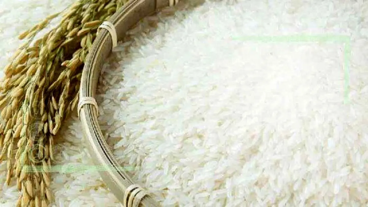 تکذیب واردات برنج با ارز دولتی از سوی وزارت جهاد کشاورزی