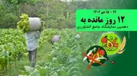 غذای سالم درگرو تولید سالم