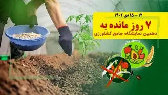 چرا برای صادرات کود مازاد مجوز نمی‌دهند؟