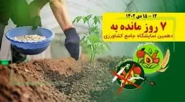 چرا برای صادرات کود مازاد مجوز نمی‌دهند؟