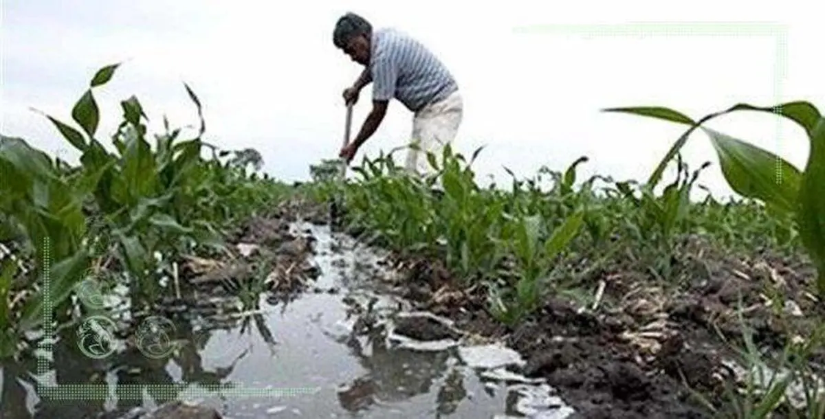 کشاورزی کشور نیازمند پروژه‌های آبیاری