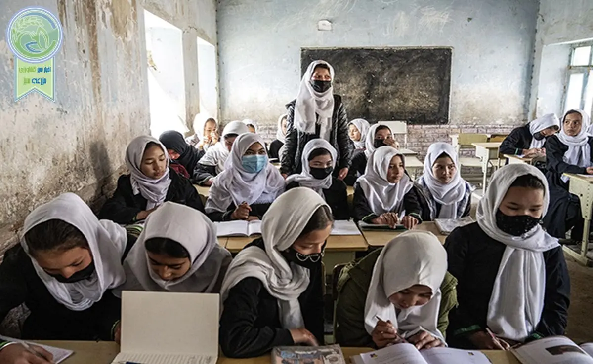 تأمین مدارس در افغانستان، کشت جلبک دریایی در آمریکا، خشکسالی در سومالی