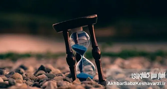 رقص زندگی با نوای مرگ+ ویدئو