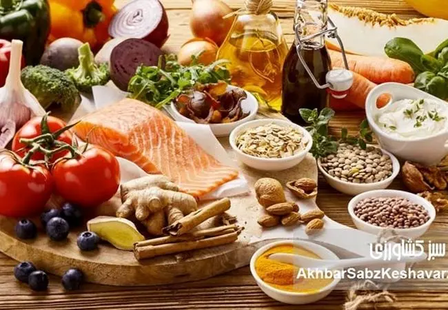 حمل‌ونقل مواد غذایی در شرایط جنگی؛ از تهدید زنجیره تأمین تا راهکارهای تاب‌آوری