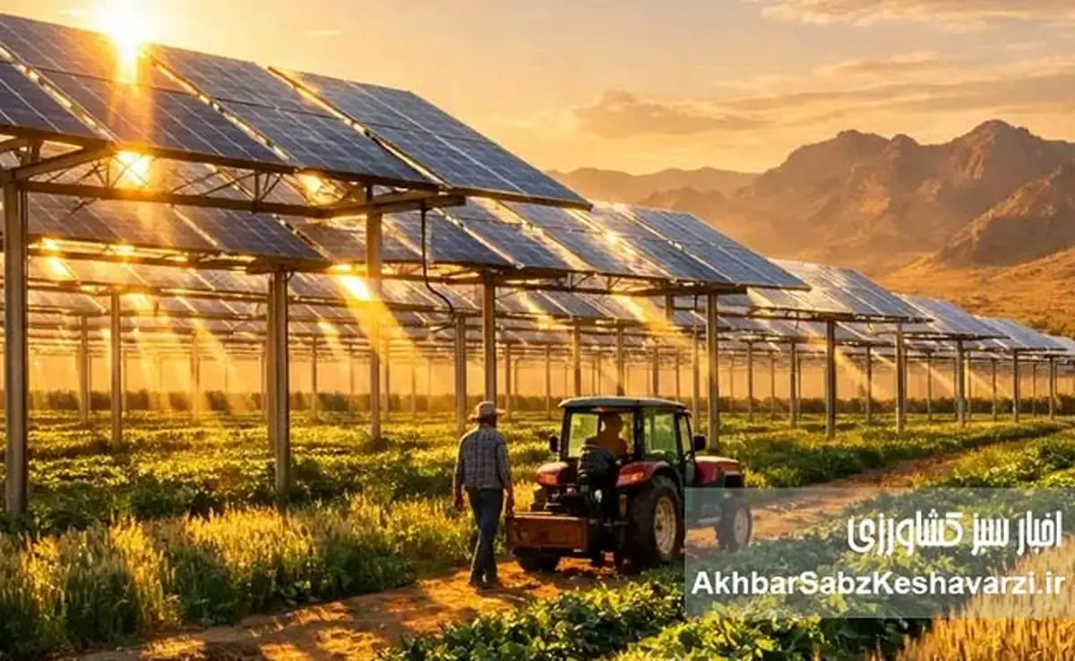 فارم‌های خورشیدی ترکیبی؛ معجزه «آگروولتائیک» در مزارع تشنه