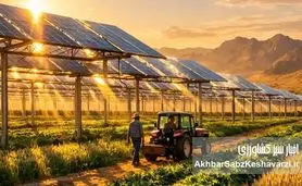 فارم‌های خورشیدی ترکیبی؛ معجزه «آگروولتائیک» در مزارع تشنه