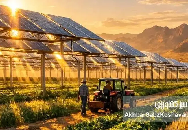فارم‌های خورشیدی ترکیبی؛ معجزه «آگروولتائیک» در مزارع تشنه