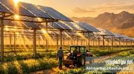 فارم‌های خورشیدی ترکیبی؛ معجزه «آگروولتائیک» در مزارع تشنه