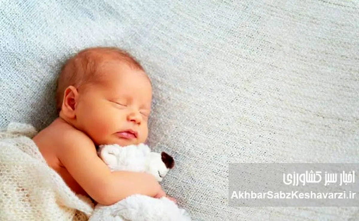 کاهش نگران‌کننده نرخ تولد؛ آمار تولدها برای نخستین‌بار به زیر یک میلیون رسید