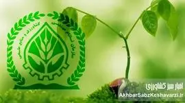 سازمان نظام مهندسی کشاورزی پاسخگو باشد: ابهاماتی در پرونده تعرفه‌های جعلی