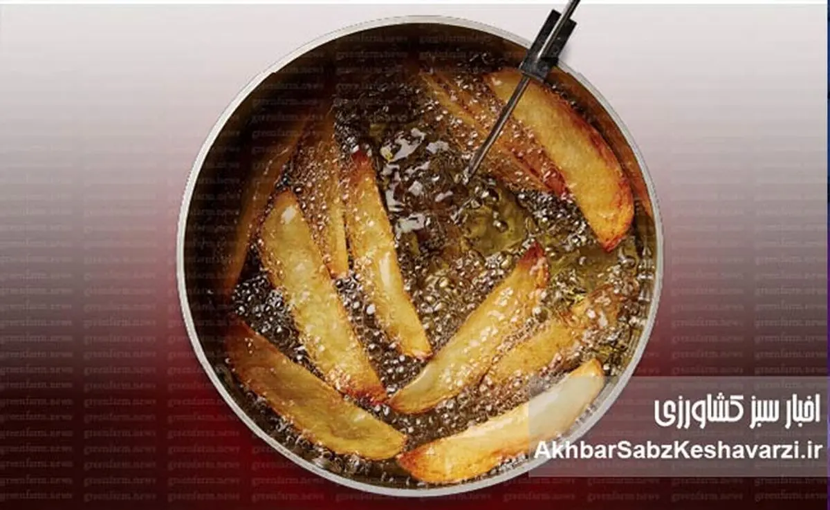 ضرورت‌های شناخت روغن‌های سرخ‌کردنی