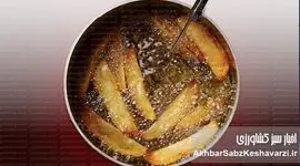 ضرورت‌های شناخت روغن‌های سرخ‌کردنی