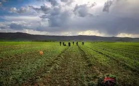 جذب اهداکنندگان علاقه مند به کشاورزی هوشمند آب و هوایی