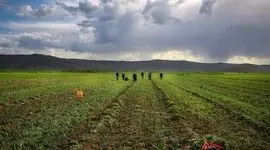 جذب اهداکنندگان علاقه مند به کشاورزی هوشمند آب و هوایی