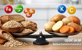 چرا سیب‌زمینی و غلات هرگز جای هم را در تغذیه سالم نمی‌گیرند؟