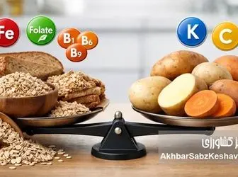 چرا سیب‌زمینی و غلات هرگز جای هم را در تغذیه سالم نمی‌گیرند؟