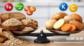 چرا سیب‌زمینی و غلات هرگز جای هم را در تغذیه سالم نمی‌گیرند؟