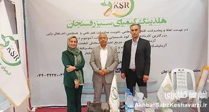 کیمیای سبز رفسنجان اشتغال جوانان را کلید زد: رویداد مهم اتصال کارجو و کارفرما برگزار شد