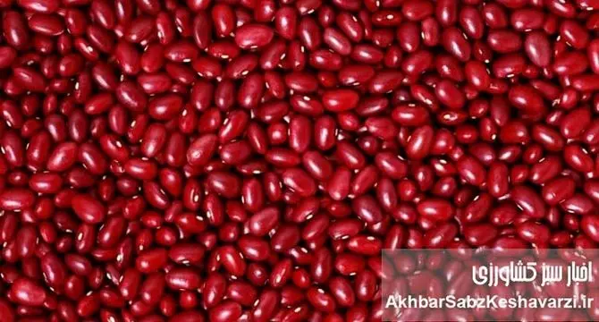 کابوس سفره‌ها: وقتی لوبیا چیتی هم‌قیمت گوشت شد!