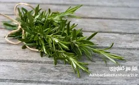 ۷ مکمل طبیعی که در هوای سرد عملکرد مغز را تقویت می‌کنند