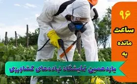 چالش تامین ارز، بلای جان تولیدکنندگان کود و سم