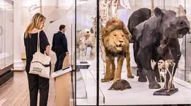 هوش مصنوعی به حیوانات مرده در نمایشگاه صدا می دهد