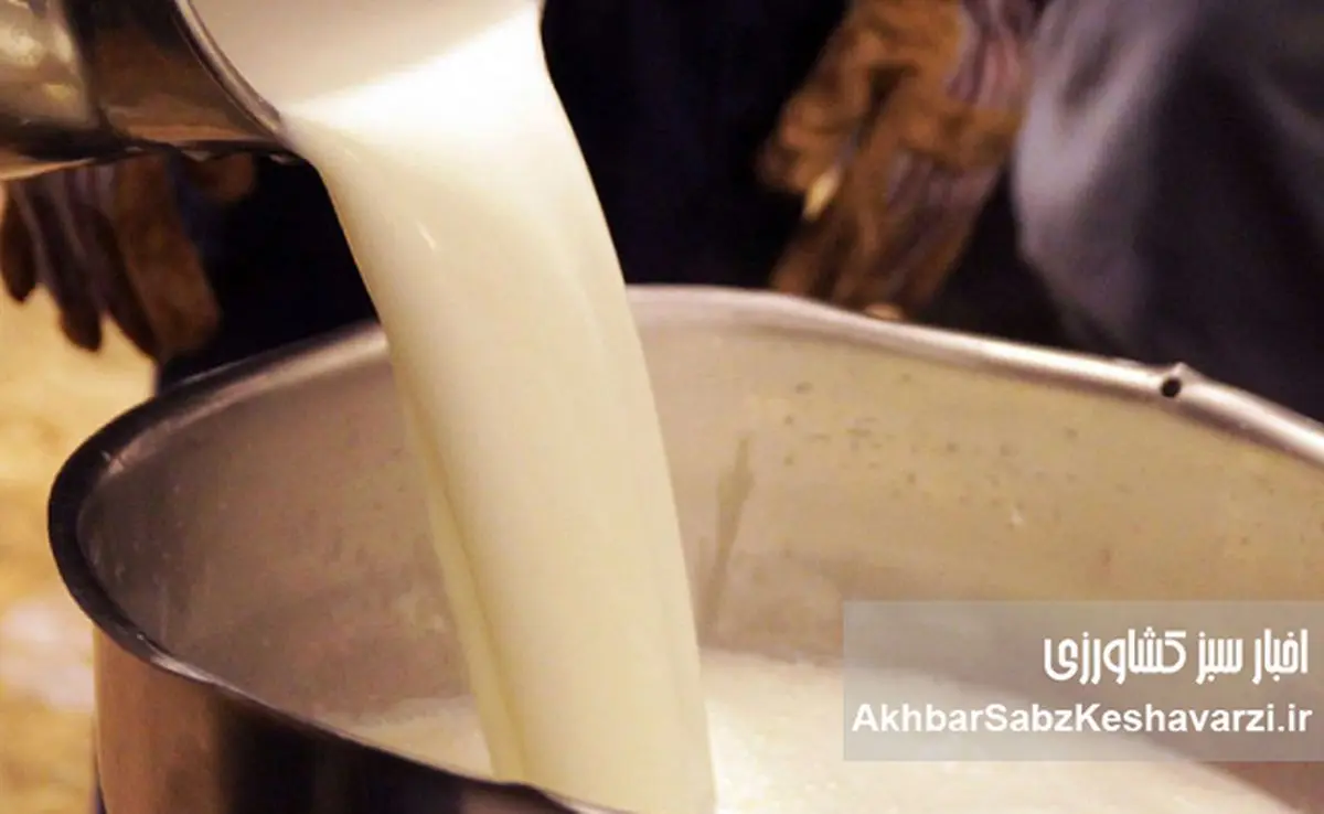 لبنیات در تله گرانی؛ وقتی شیر خام افسار بازار را می‌کشد