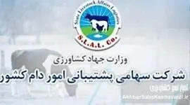 اعتراض به نتایج مناقصه پروتئینی: کمترین قیمت رد شد و پای رانت اطلاعاتی به میان آمد!