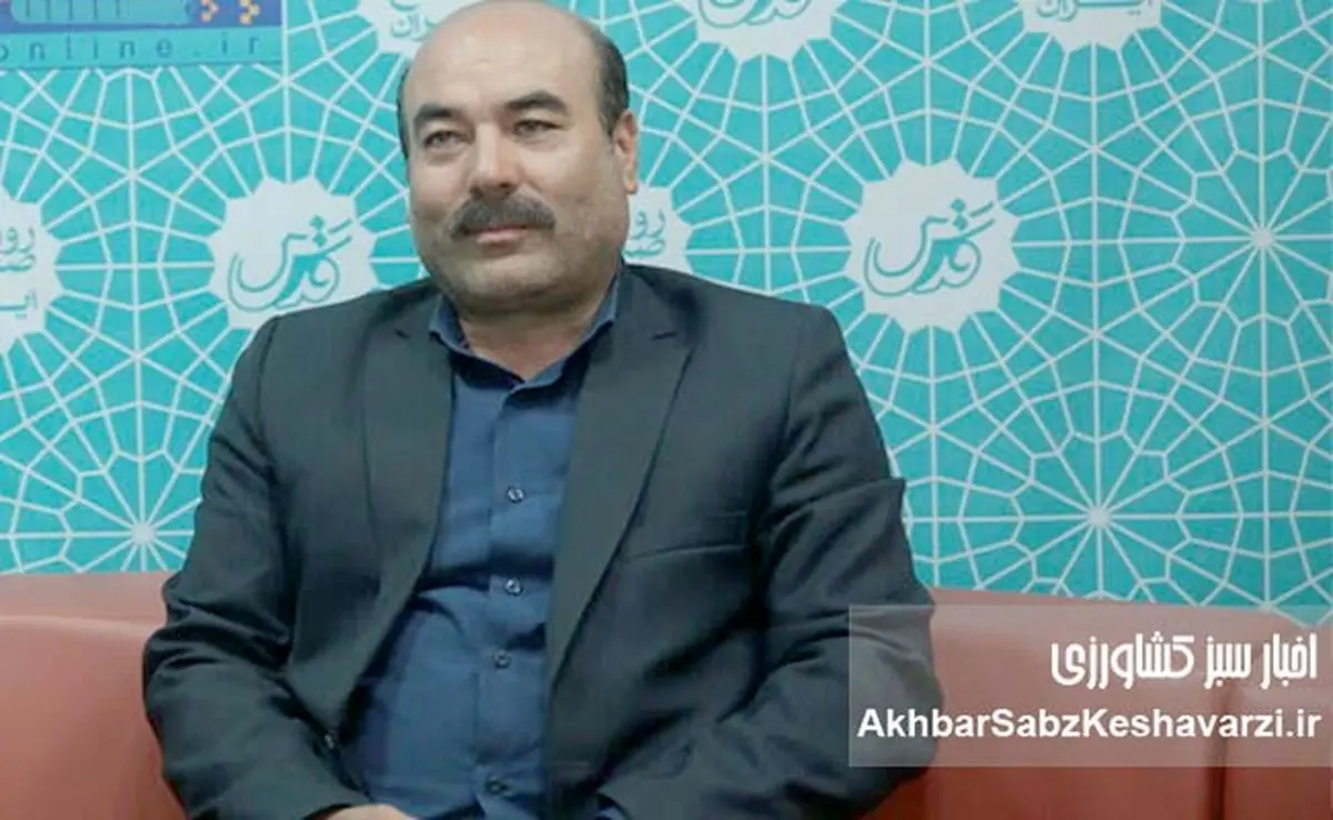 ضرورت بازنگری در ساختار تنظیم بازار و احیای وزارت جهاد کشاورزی