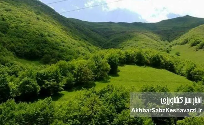 کشته شدن مجید زکریایی؛ فرمانده یگان حفاظت منابع طبیعی درگذشت