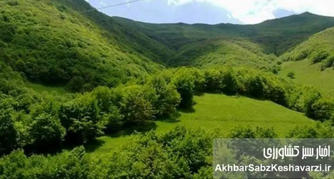 اثرات یک تجاوز؛ فاجعه انسانی و تخریب خاموش طبیعت ایران