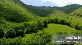 کشته شدن مجید زکریایی؛ فرمانده یگان حفاظت منابع طبیعی درگذشت