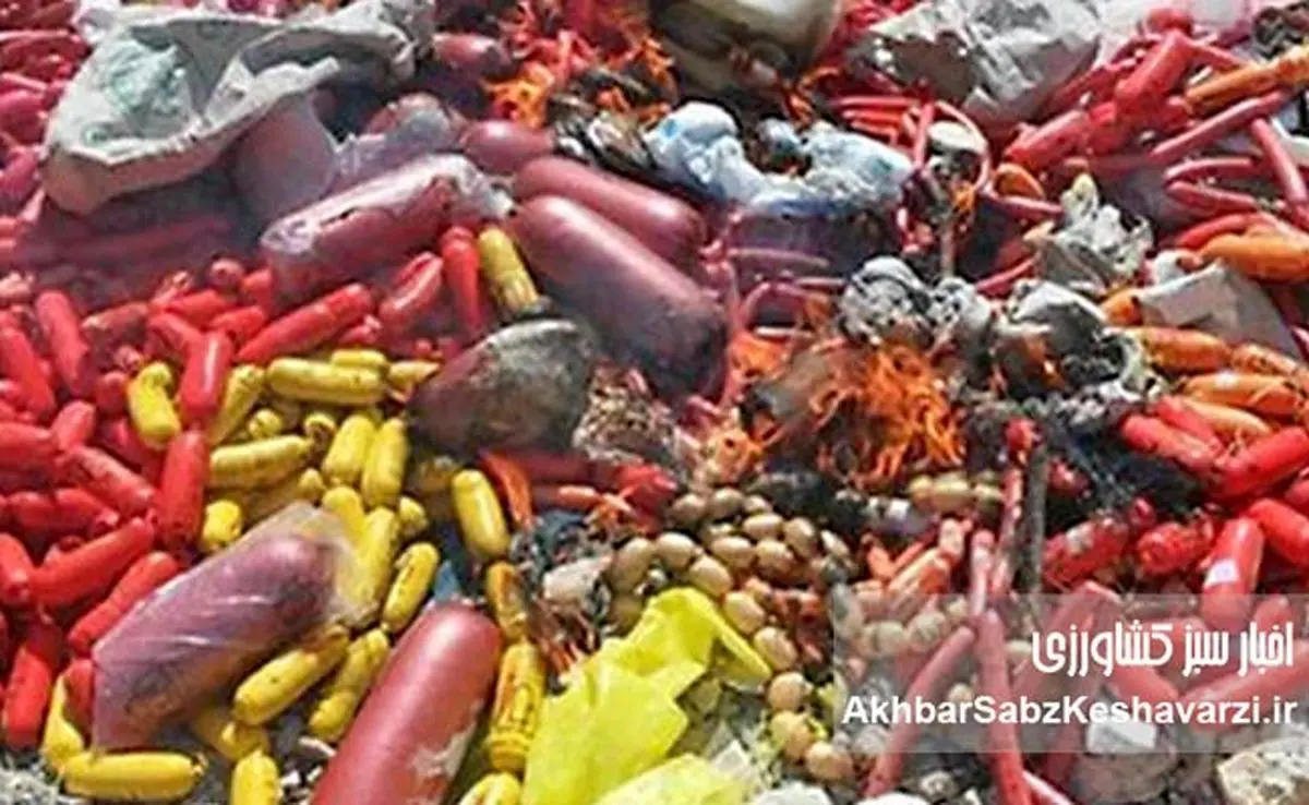 کشف هولناک: گوشت گراز در سوسیس کالباس! انهدام کارگاه غیرمجاز+ ویدئو