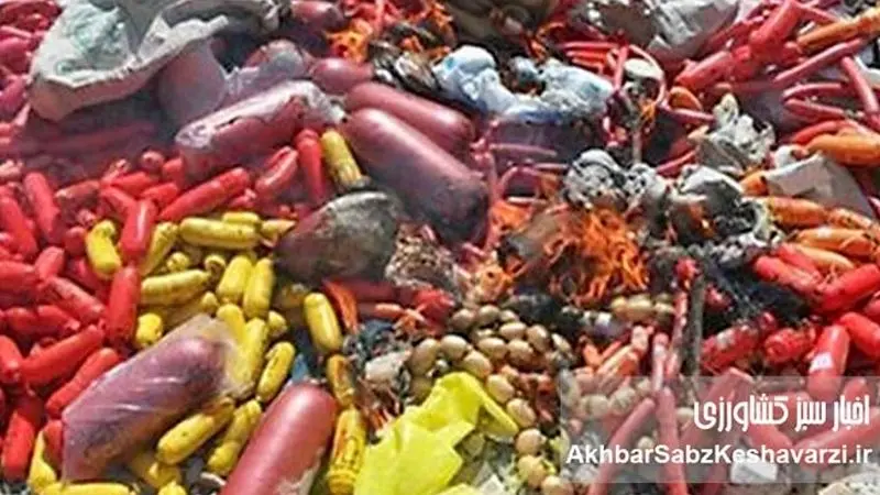 کشف هولناک: گوشت گراز در سوسیس کالباس! انهدام کارگاه غیرمجاز+ ویدئو