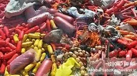 کشف هولناک: گوشت گراز در سوسیس کالباس! انهدام کارگاه غیرمجاز+ ویدئو