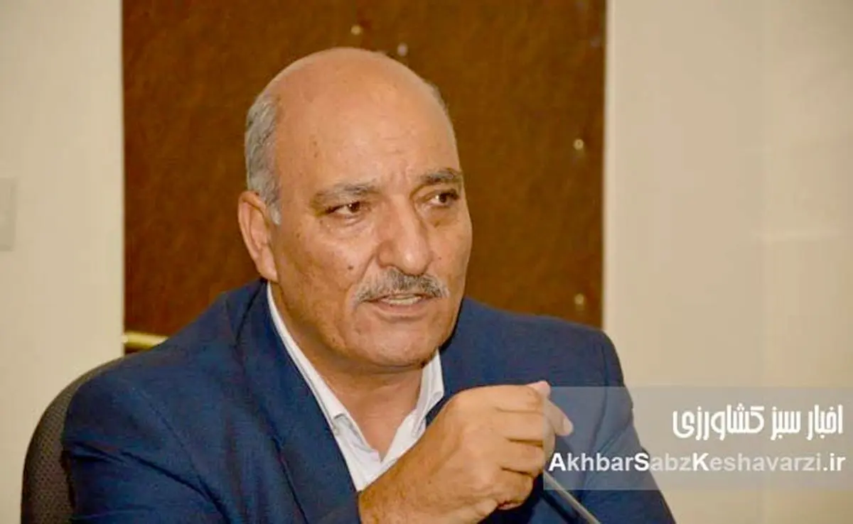 فاجعه در مزارع: چگونه قطعی برق کشاورزی، زندگی گندمکاران را میسوزاند؟+ ویدئو