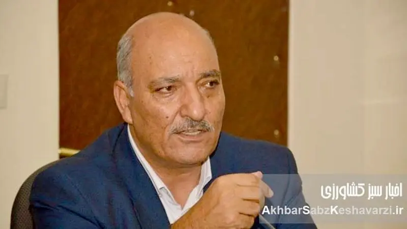 فاجعه در مزارع: چگونه قطعی برق کشاورزی، زندگی گندم‌کاران را می‌سوزاند؟+ ویدئو