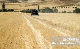 جشن آغاز سال زراعی؛ هیاهو در سایه بحران کشاورزی: دستاورد یا توهم؟