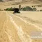 جشن آغاز سال زراعی؛ هیاهو در سایه بحران کشاورزی: دستاورد یا توهم؟